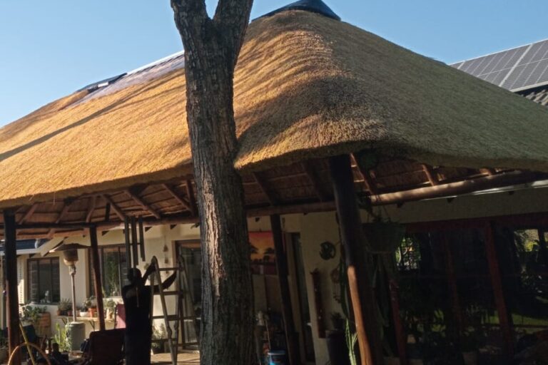 vn thatch